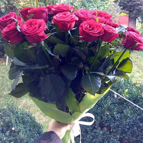 фото букета в Харькове 15 красных роз