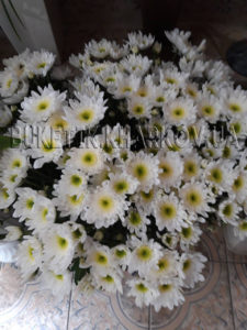букет белых хризантем в Харькове фото