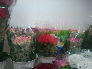 живые цветы в вазонах в Харькове фото