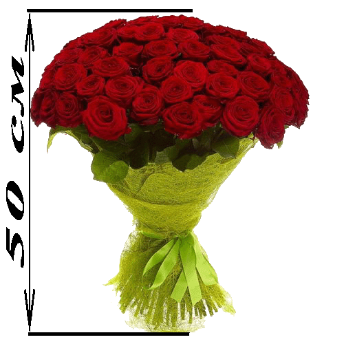 Фото товара 101 красная роза (50см) в Харькове