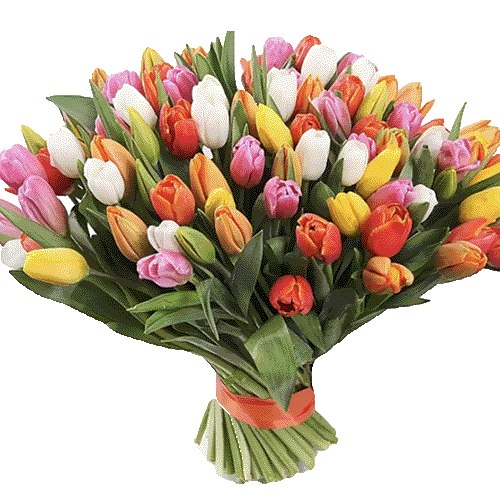 Фото товара 101 разноцветный тюльпан в Харькове