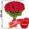 Фото товара 51 красная роза (50см) в Харькове