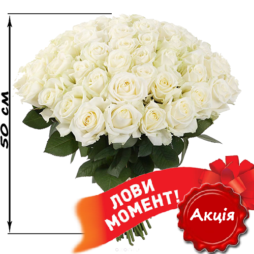 Фото товара 51 белая роза (50 см) в Харькове
