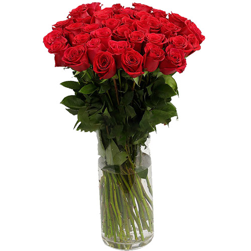 фото товара Троянда імпортна червона (поштучно) | «Букетик Харків»