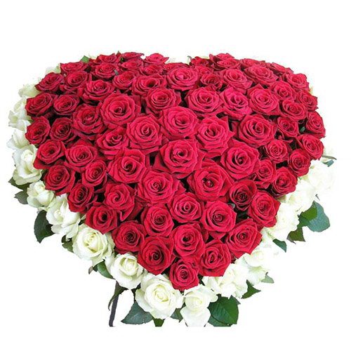 Фото товара 101 роза сердцем - белая, красная в Харькове