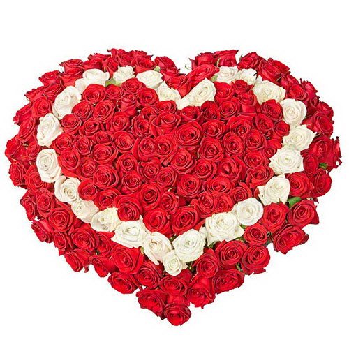 Фото товара 101 роза сердцем - красная, белая, красная в Харькове
