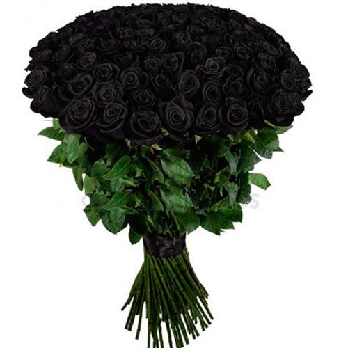 Фото товара 101 черная роза в Харькове