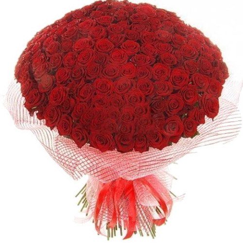 Фото товара 201 красная роза в Харькове