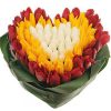 Фото товара 151 тюльпан "Краски весны" в Харькове