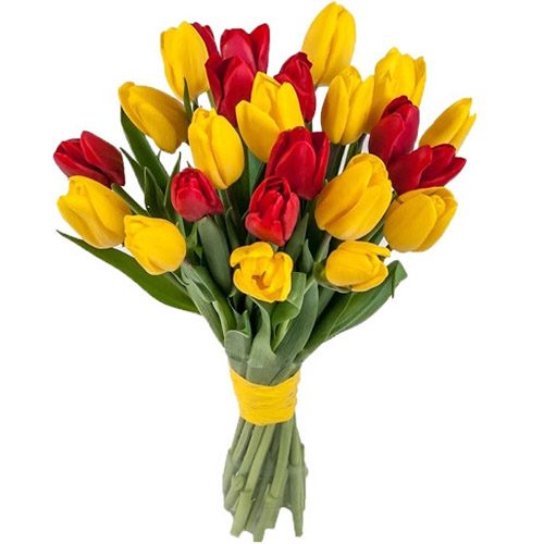 Фото товара 15 красно-жёлтых тюльпанов (с лентой) в Харькове