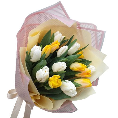 Фото товара 15 бело-жёлтых тюльпанов в Харькове