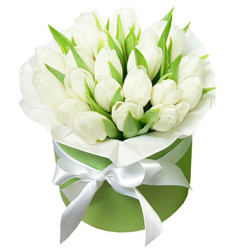 Фото товара 21 белый тюльпан в коробке в Харькове