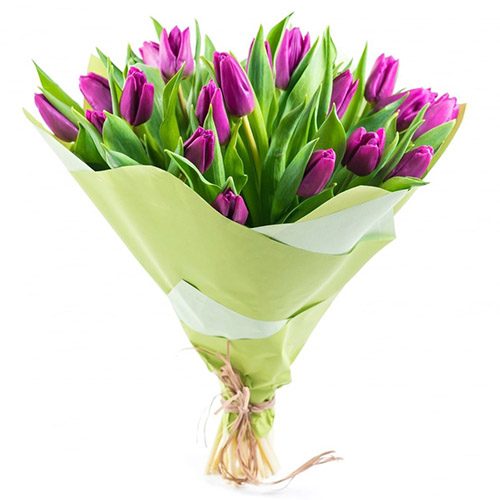 Фото товара 25 пурпурных тюльпанов в Харькове