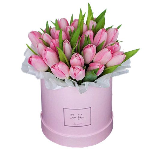 Фото товара 31 нежно-розовый тюльпан в коробке в Харькове