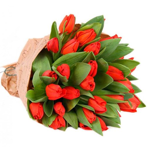 Фото товара 35 красных тюльпанов в "газете" в Харькове