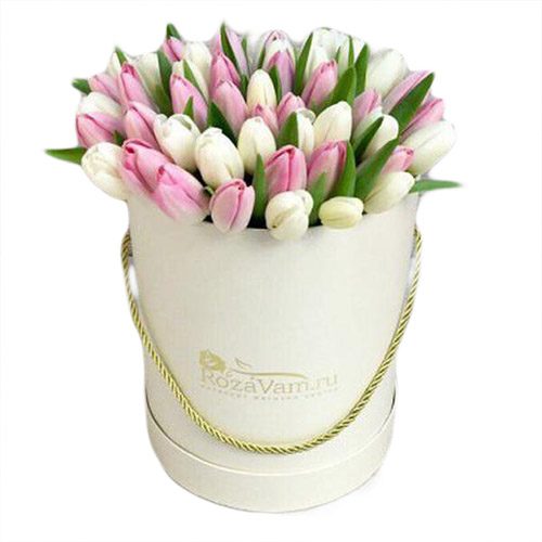 Фото товара 51 бело-розовый тюльпан в коробке в Харькове