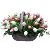 Фото товара 75 пурпурно-белых тюльпанов в Харькове