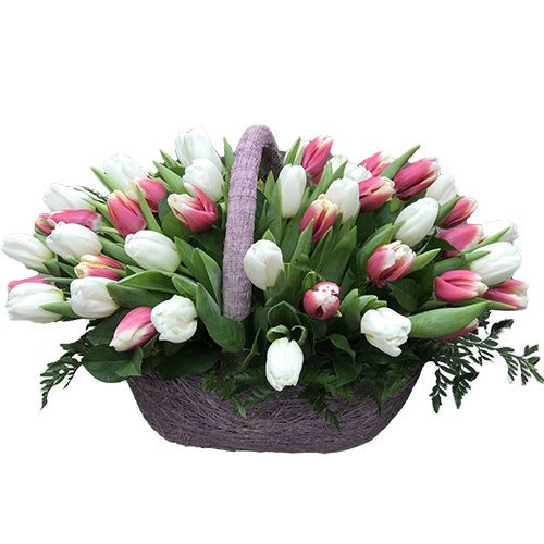 Фото товара 51 бело-розовый тюльпан в корзине в Харькове