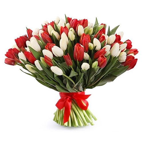 Фото товара 75 красно-белых тюльпанов (с лентой) в Харькове