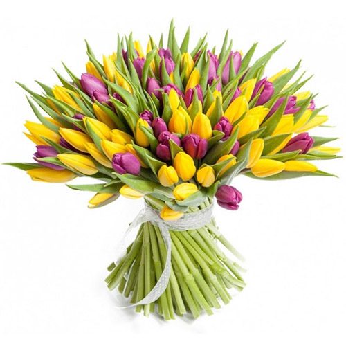 Фото товара 75 фиолетово-жёлтых тюльпанов в Харькове