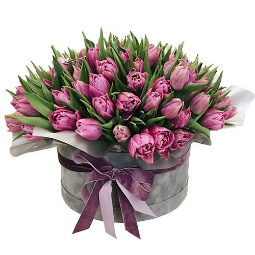Фото товара 101 пурпурный тюльпан в коробке в Харькове