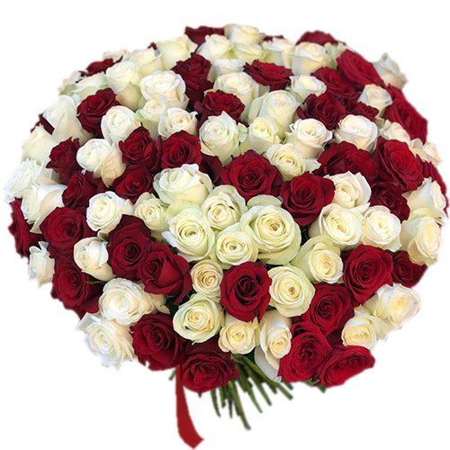 Фото товара 101 красная и белая роза в Харькове
