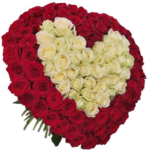 Фото товара Сердце 101 роза - красная и белая в Харькове