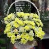 Фото товара Корзина "Белые хризантемы, жёлтые розы" в Харькове