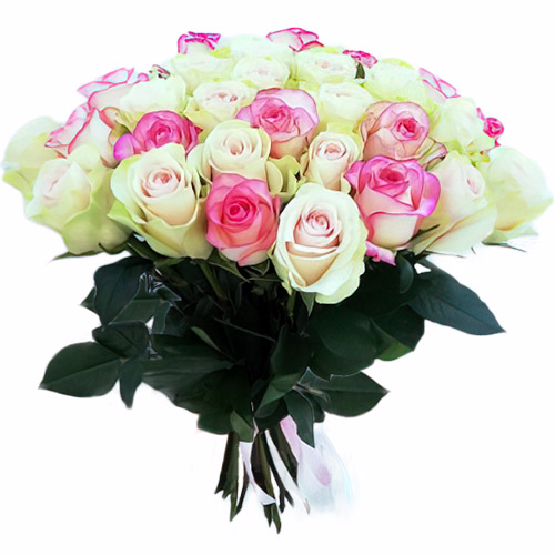 Фото товара 33 кремовые и розовые розы в Харькове
