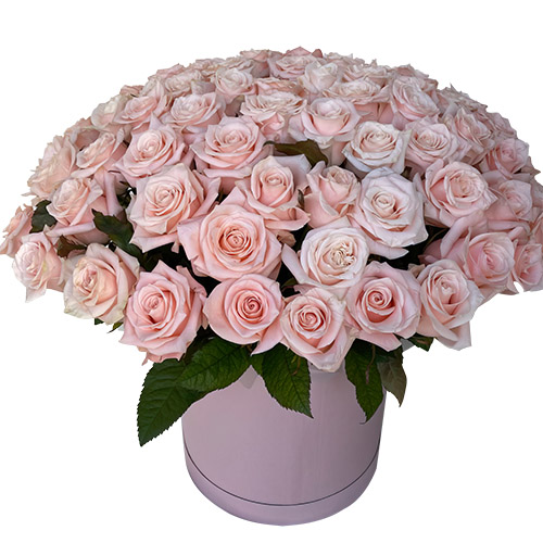 Фото товара 101 розовая роза в коробке в Харькове