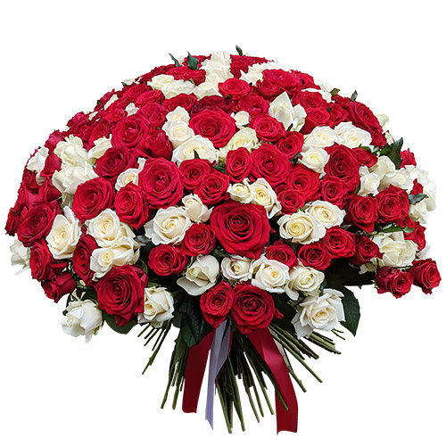 Фото товара 201 красная и белая роза в Харькове