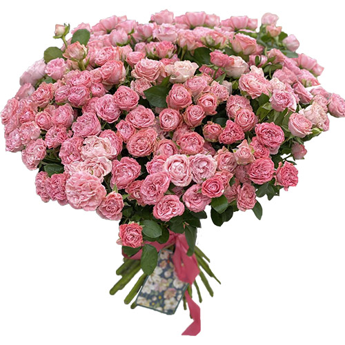 Фото товара 33 кустовые пионовидные розы в Харькове