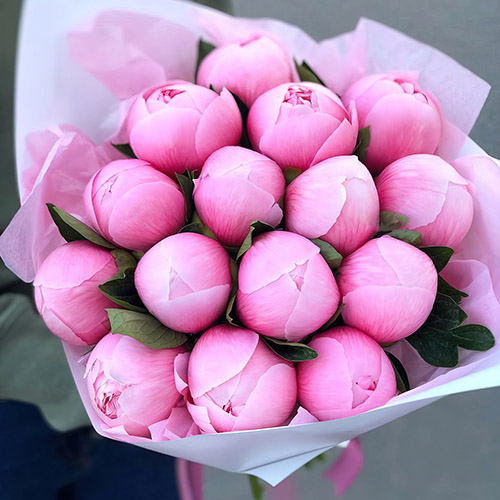 Фото товара 15 розовых пионов в Харькове