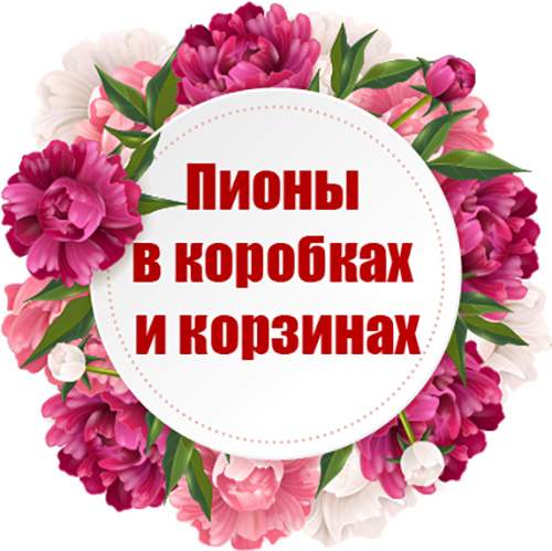 категория товаров Пионы в коробках и корзинах | «Букетик Харьков»