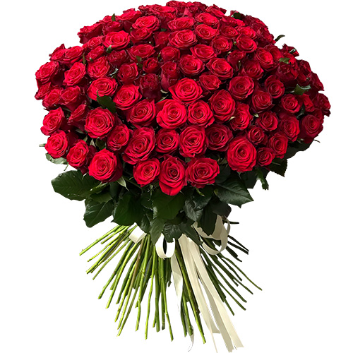 Фото товара 101 троянда червона в Харькове