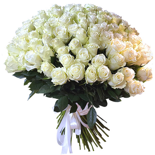 фото товара 101 біла імпортна троянда | «Букетик Харків»