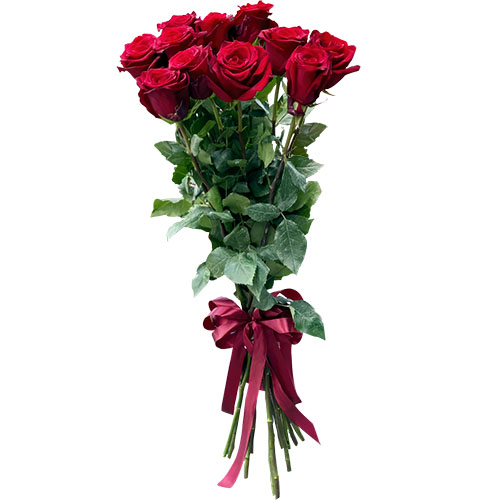 Фото товара 11 метровых роз в Харькове